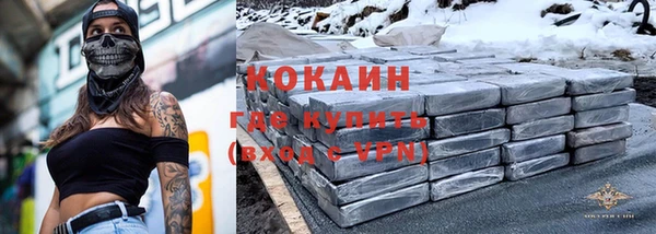 гашик Арсеньев