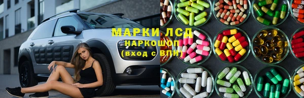 гашик Арсеньев